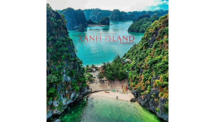 Chỉ từ 650 triệu sở hữu căn hộ biển cao cấp view biển 360 tại Cát Bà